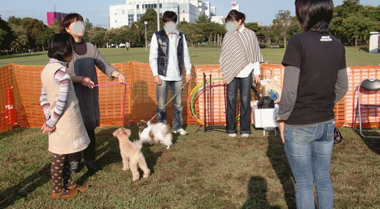 2011.jpg