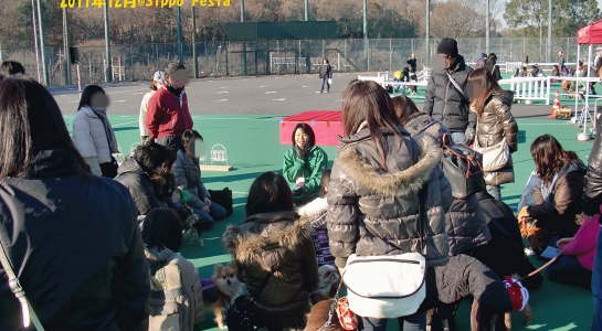 2011.jpg
